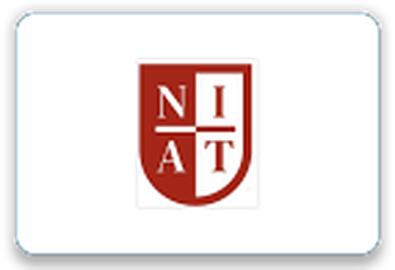 NxtWave Institute (NIAT)